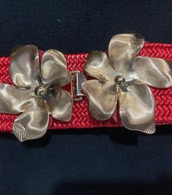 356960224 687901983149479 155248214658671903 n