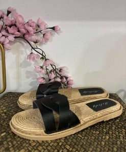 519500549 1663812834312448 8565488189007678738 n