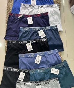 526037749 798389302563283 1678735108475433454 n