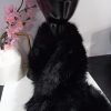 IMG 20260108 133735