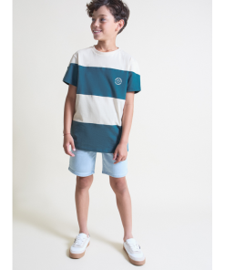Camiseta niño M. 265001 verde azulado Street Monkey