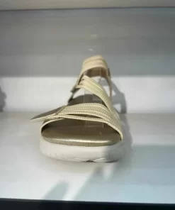 709305558 969363502663922 1777625199886314787 n