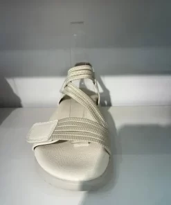 736688831 4421244324859002 5380437378136187718 n