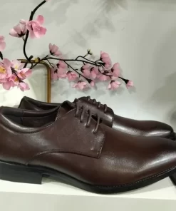 Zapatos vestir caballero M. 100 marrón