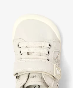 TESH516029 BEIG 40
